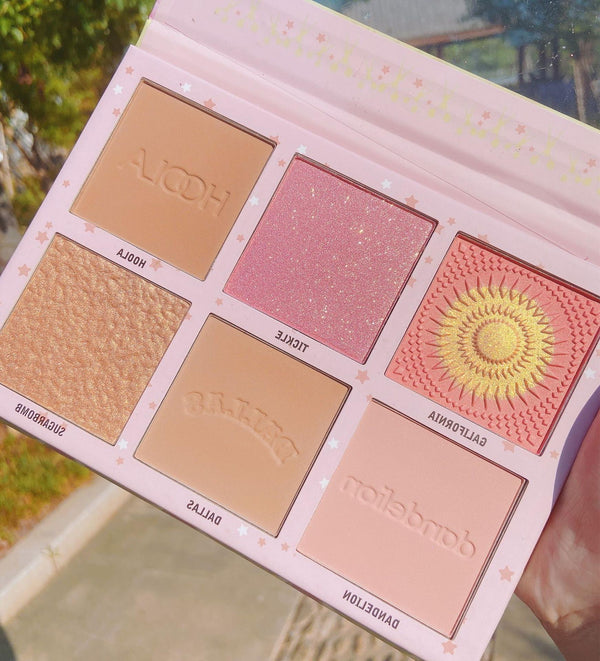 Nose Shadow Repair Shadow Blush Palette